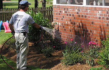 Spraying pesticides 